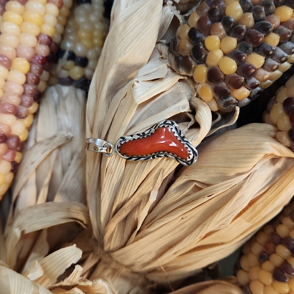 Beautiful NWOT Native American Navajo Natural Coral Pendant ❤️ - Picture 1 of 8